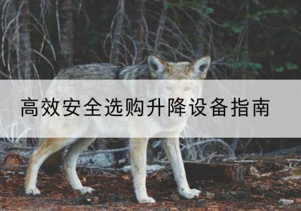 华池升降货梯厂家推荐-*安全选购升降设备指南