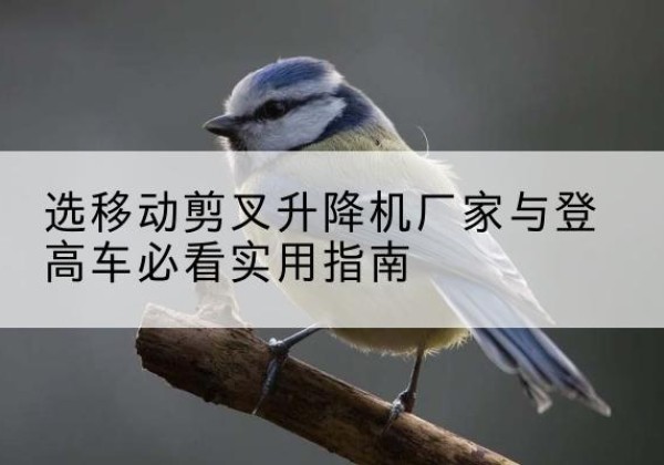 华池电动升降机厂家-选移动剪叉升降机厂家与登高车必看实用指南